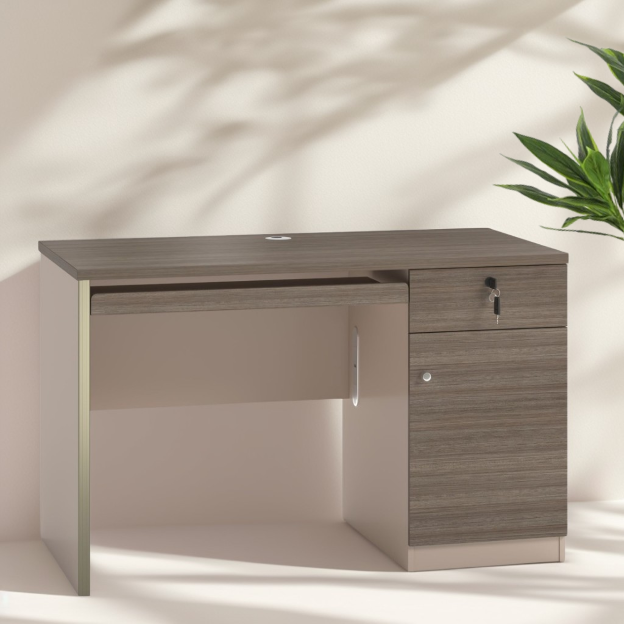FUTURE OFFICE TABLE 120 CM