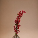 AKIRA FLOWER