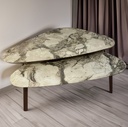 DANTE COFFEE TABLE SETS 2 PCS