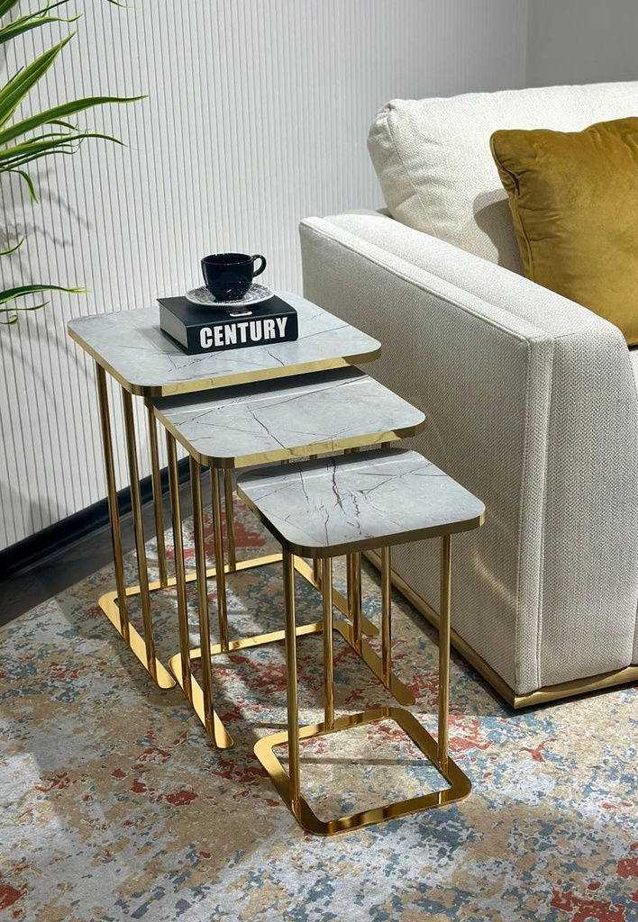LUXURY COFFEE TABLE SETS 3 PCS