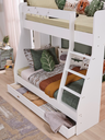 MONTE BUNK BED 