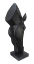 BLACK HOURSE DECORATION