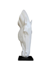 WHITE HOURSE DECORATION