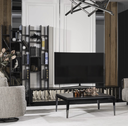 LUCCA TV UNIT