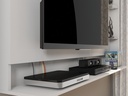 LINK WALL TV PANEL