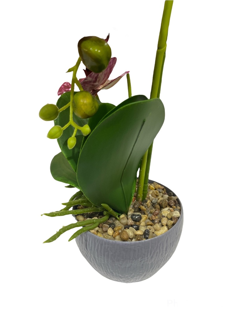 Ekos Artificial Orchid