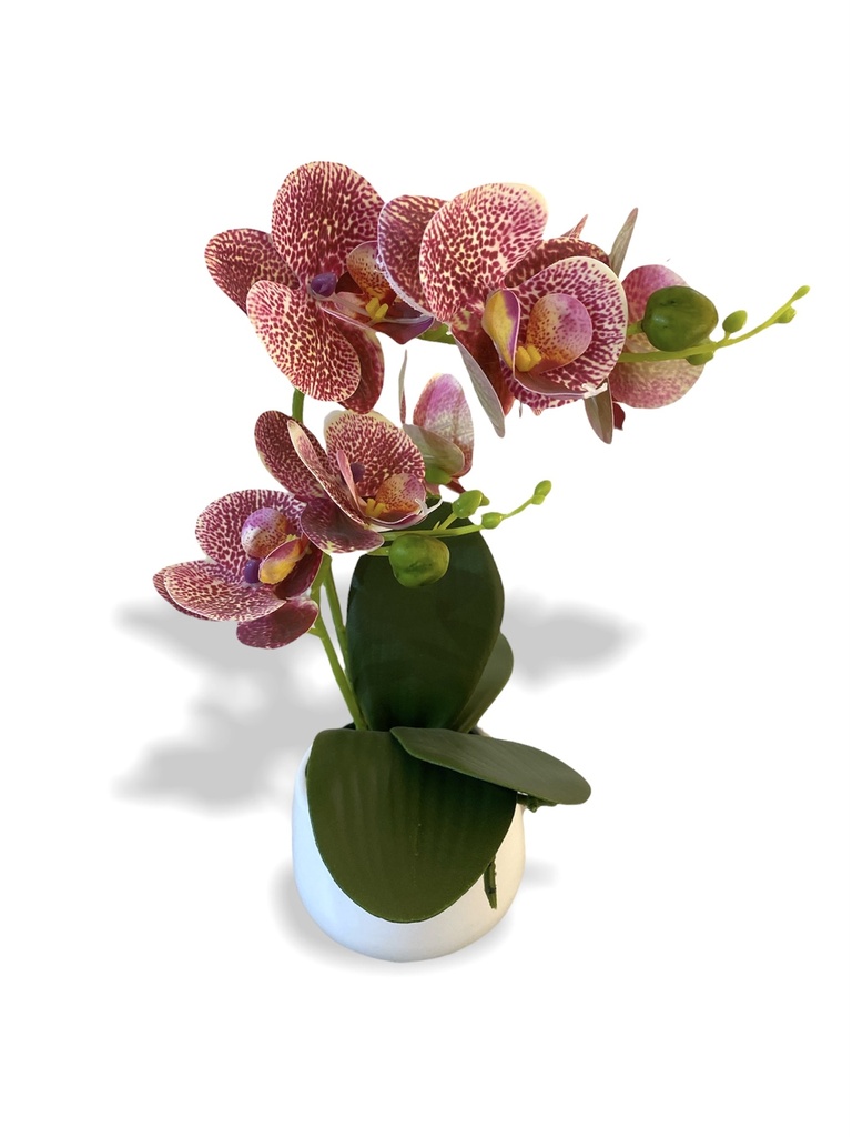 Nina Artificial Orchid
