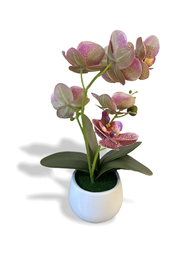 Nina Artificial Orchid