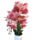 Laila Artificial Orchid 