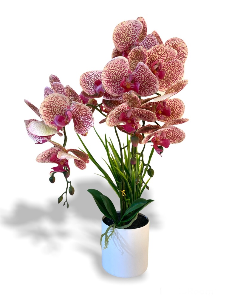 Laila Artificial Orchid 