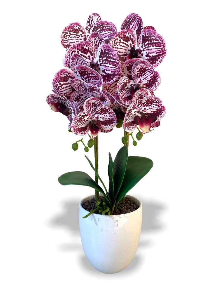 Kriska Artificial Orchid