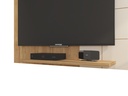 CROSS TV PANEL 