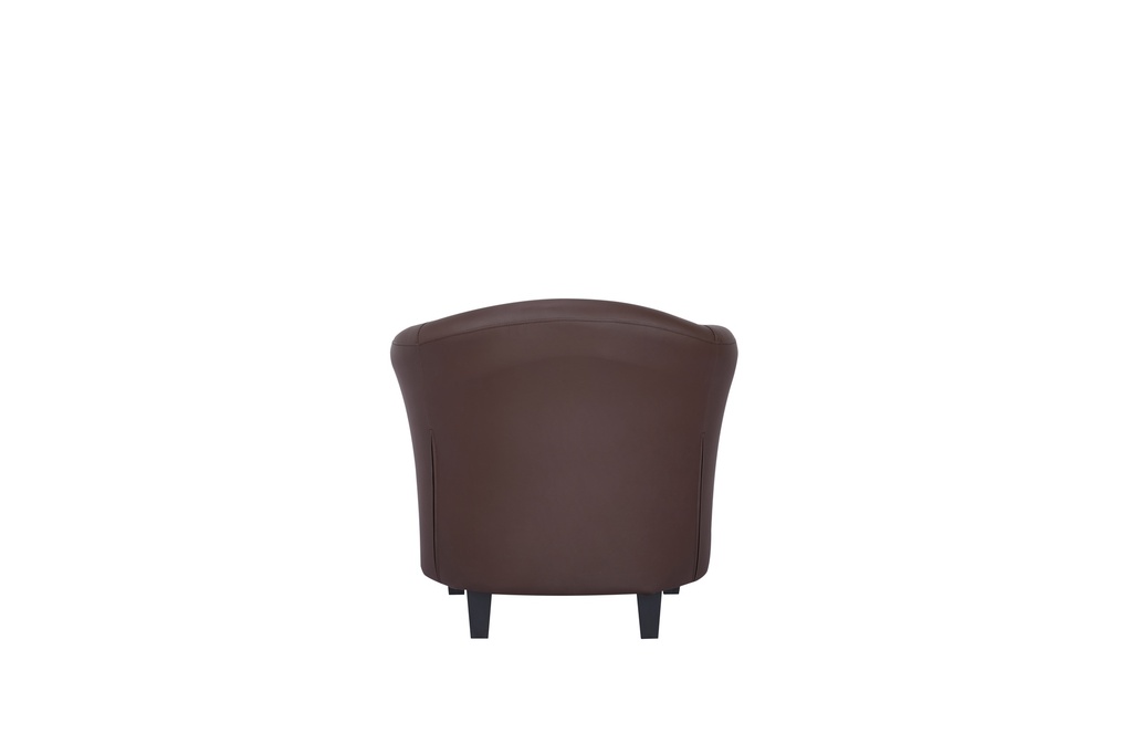 AZERA ARM CHAIR PCY-010N2S