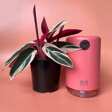 MIST AROMA DIFFUSER