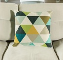 ALEX 53 CUSHION