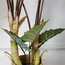 MONSTERA ARTIFICIAL TREE 120 cm