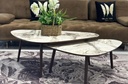 DANTE COFFEE TABLE SETS 2 PCS