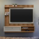 TOCANTINS TV PANEL 