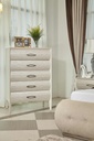 RISKA CASE CABINET