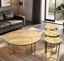 PROFILE COFFEE TABLE SETS 4 PCS
