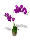 PURPLE FLOWER SET