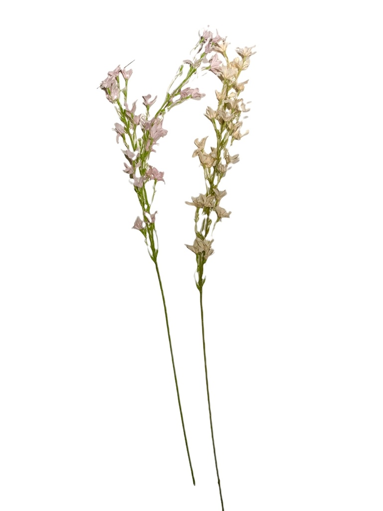 HAPPINESS FLOWER