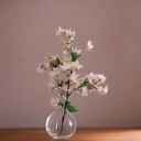 ARABELA FLOWER