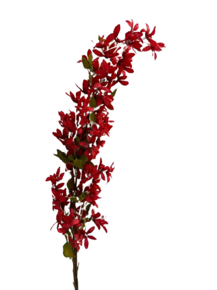 AKIRA FLOWER