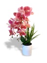LAILA ARTIFICIAL ORCHID