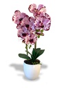 KRISKA ARTIFICIAL ORCHID