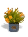 NUIT ARTIFICIAL ORCHID