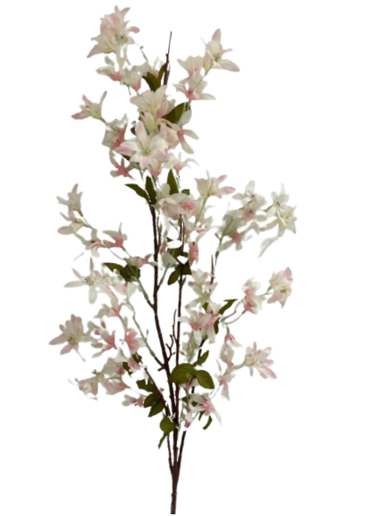 [R0150100023] AKIRA FLOWER