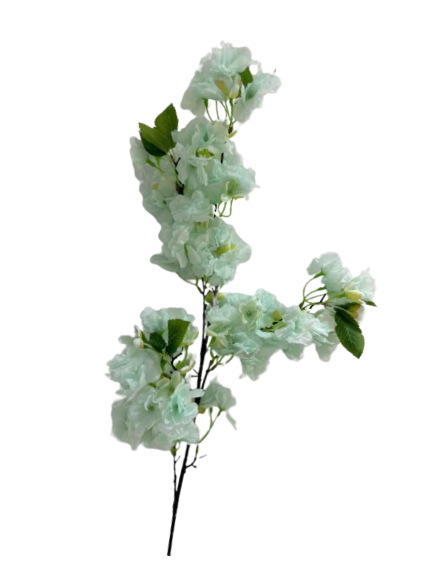 [R0070100028] BOUGAINVILLEA FLOWER
