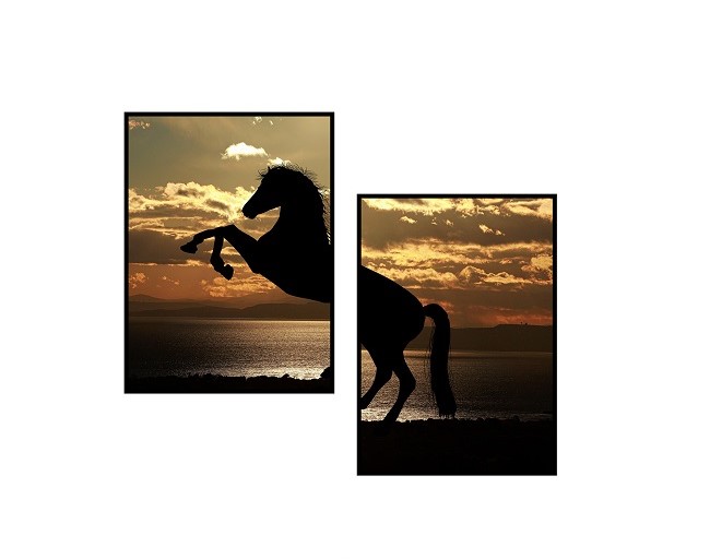 [X0010100331] ALBION WALL ART SET 2 PCS