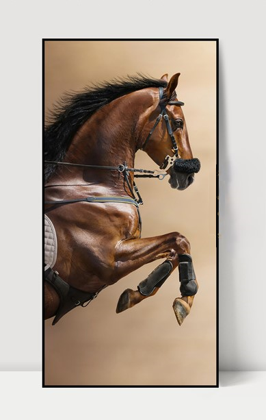 [X0010100342] RACING WALL ART