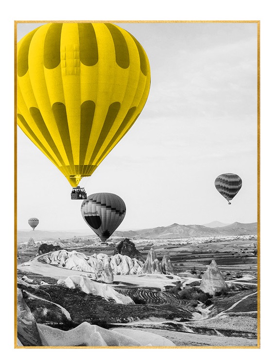 [X0010100347] BALOON WALL ART