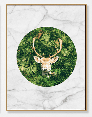 [X0010100399] AMAZON B WALL ART