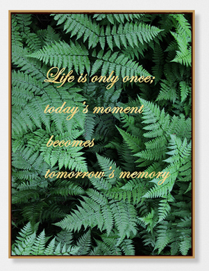 [X0010100400] AMAZON C WALL ART 
