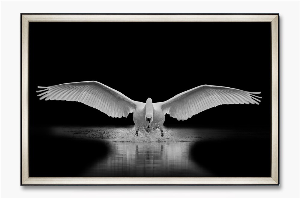 [X0010100414] WHOOPER WALL ART