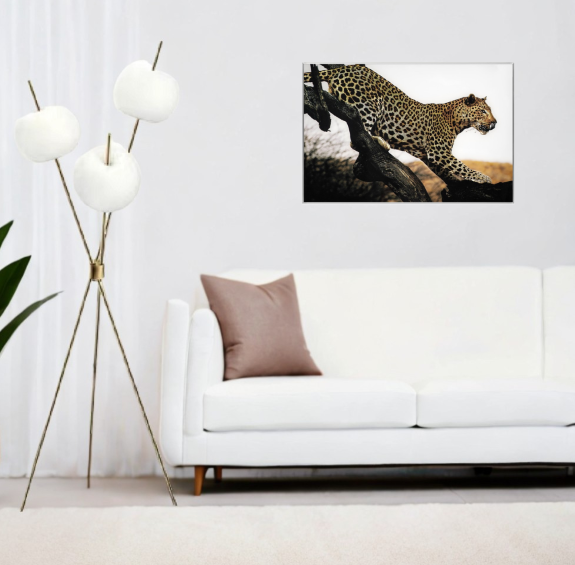 [Y0010100074] ISABELLY  FLOOR LAMP