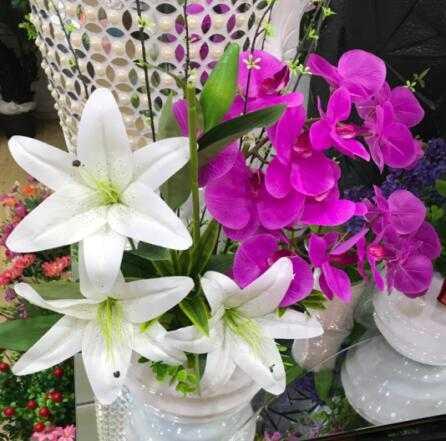 [R0020100004] LILIUM FLOWER SET