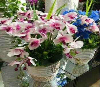 [R0020100008] باقة زهور  