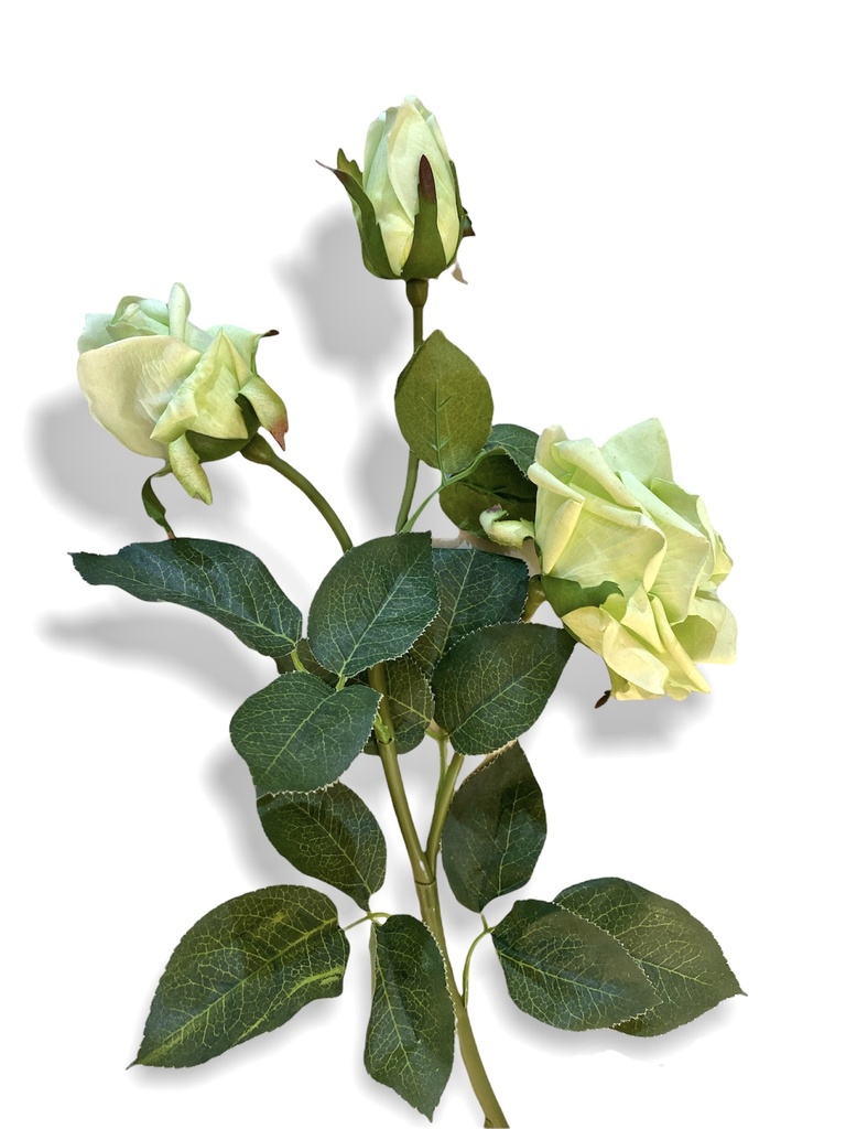 [R0050100005] زهور صناعية  