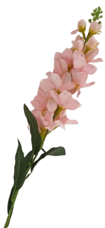 [R0050100029] CRISTALINA FLOWER