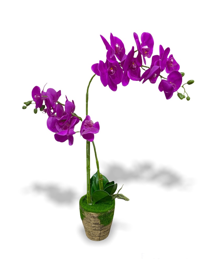 [R0050100049] PURPLE FLOWER SET