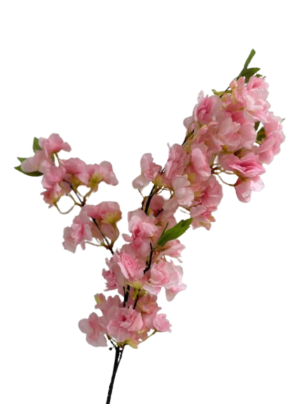 [R0070100002] BOUGAINVILLEA FLOWER