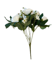 [R0070100006] AMABEL FLOWER