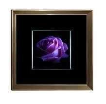 [X0010100250] PURPLE ROSE WALL ART