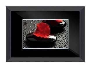 [X0010100265] PÉTALE WALL ART