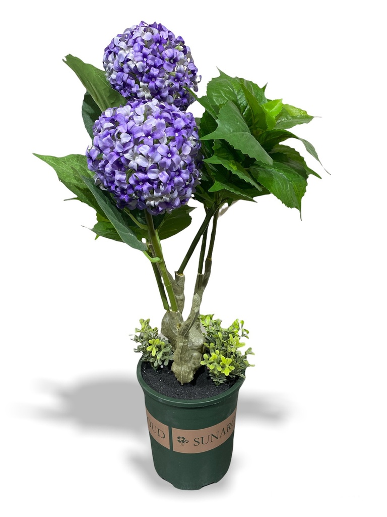 [Z0010100649] TALIA ARTIFICIAL HYDRANGEA